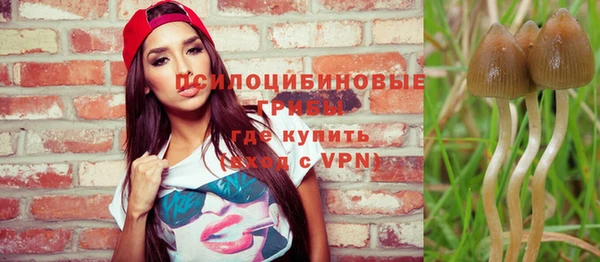 прущая мука Алексин